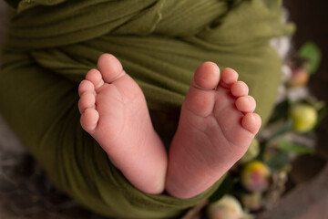 The tiny foot of a newborn. Soft feet of a newborn in a green woolen blanket. Close up of toes, heels and feet of a newborn baby. Studio Macro photography. Woman's happiness.