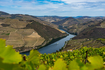 Viewpoint view of terraced vineyards at romantic sunset in Douro valley near Pinhao village,...