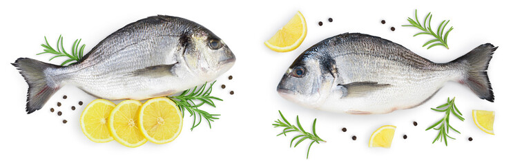 Fish dorado isolated on white background with full depth of field. Top view. Flat lay