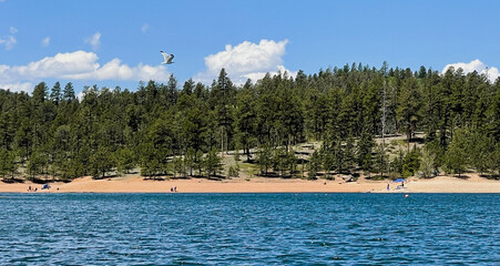 Pikes Peak Highway