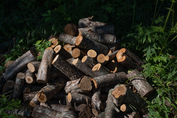 pile of sawn firewood on a background of green grass and trees on a sunny summer day with dark shadows