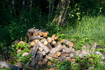 pile of sawn firewood on a background of green grass and trees on a sunny summer day with dark shadows