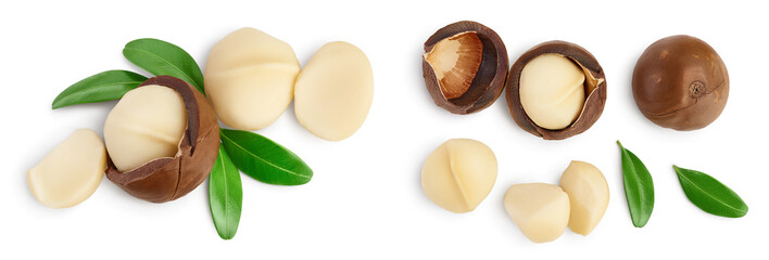 macadamia nuts isolated on white background. Top view. Flat lay.