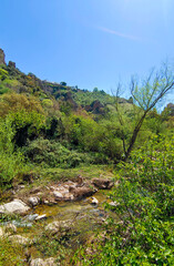 Fototapeta na wymiar River in Ronda