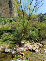 River in Ronda