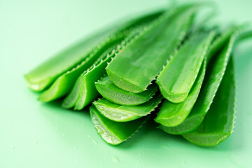 Aloe vera leaves close up view. It is a succulent herbaceous plant. Widely used in medicine and cosmetics.