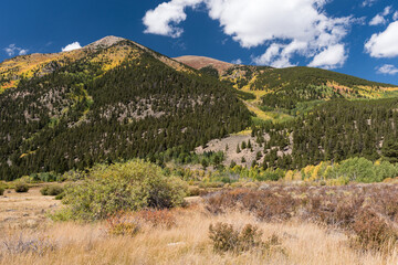 12,674 Foot Parry Peak and 13,588 Foot Mt. Cosgriff rise above the colorful forest near Twin Lakes, Colorado.