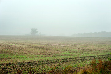 Fototapeta na wymiar Panorama of the countryside in autumn field in thick fog during rains.