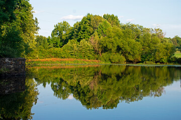 Fototapeta na wymiar Reflections of trees and leaves in lake at Davidson's Mill Pond Park on a bright sunny day -15