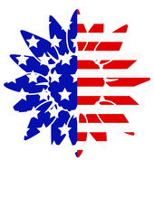 Sunflower sign. 4th of July decor. Independence day. Stars, stripes Patriotic clipart