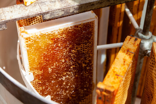 Apiculture - A la miellerie - Gros plan sur un cadre rempli de miel rangé dans un extracteur