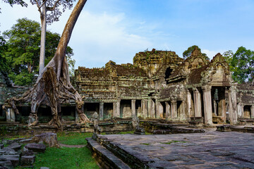 Cambodia. Siem Reap. The archaeological park of Angkor. Tree root of banyan tree overgrowing parts of ancient Preah Khan 12th century Hindu temple