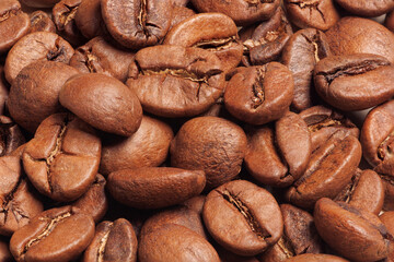 Grãos de café arábica torrados. Coffea arabica.  - obrazy, fototapety, plakaty