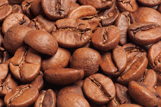 Grãos de café arábica torrados. Coffea arabica. 