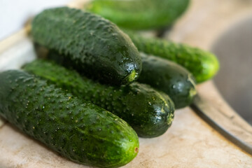Fresh whole cucumbers. Ecological cucumbers with water drops.