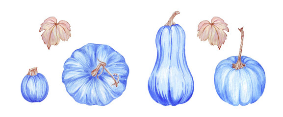 set of watercolor illustrations on the theme of fantasy on the theme of Thanksgiving, blue pumpkins and leaves, stickers and decor, tags, postcard
