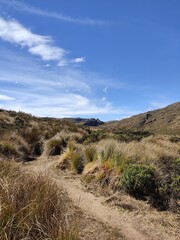 View of the mountain, National Park of Itatiaia, Rio de Janeiro, Brasil