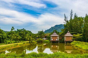 Fototapeta na wymiar Landscape cityscape panorama roads cars buildings forest nature Phuket Thailand.