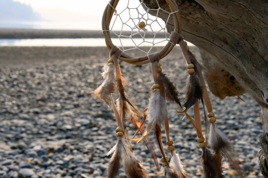 A close up image of a brown and white dream catcher hanging from a piece of driftwood. 