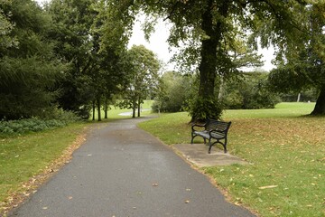 walk in the park