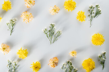 chrysanthemum and cutter flowers composition. Pattern and Frame made of various yellow or orange flowers and green leaves on white background. Flat lay, top view, copy space, spring, summer concept.