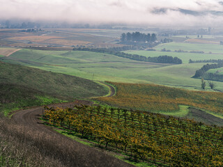 Obraz premium Autumn Landscape Napa Valley Region, California