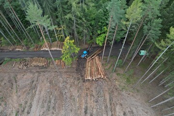 The harvester working in a forest. Harvest of timber. Firewood as a renewable energy source.aerial...