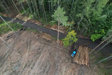 The harvester working in a forest. Harvest of timber. Firewood as a renewable energy source.aerial...