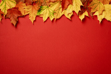 Autumn maple leaves frame on red background. Flat lay, top view.