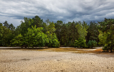 The Sea of Sand in Fontainebleau Forest, France