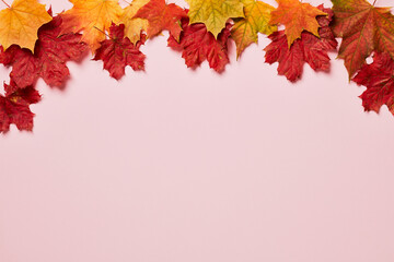 Naklejka na ściany i meble Frame border with maple leaves on pastel pink background. Autumn, fall concept.