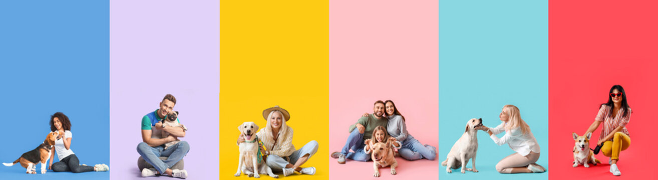 Set of people with dogs on colorful background