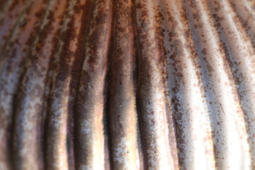 Rusty metallic photo wallpaper.metal background with traces of rust.Ribbed metal rusty surface. Ribbed shiny surface.Beautiful vintage background.cracked texture.rusty metal texture. 