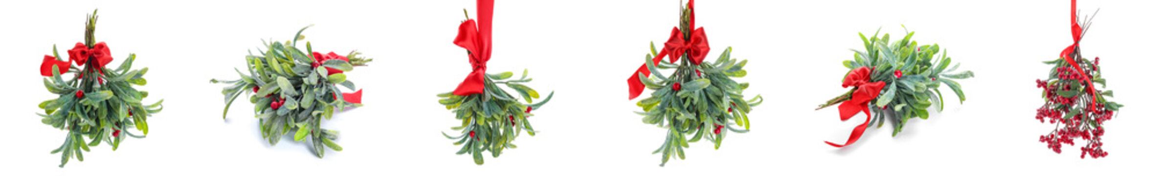 Set Of Mistletoe Branches Isolated On White