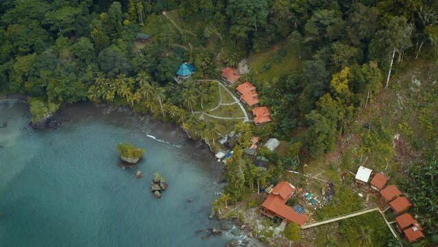 Pacific Coast With Rainforest