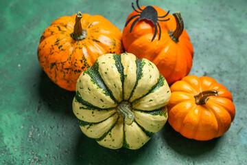 Halloween pumpkins with spider on grunge background