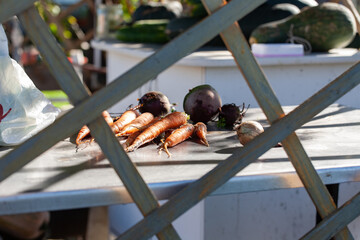 Fresh vegetables lie on the table in the garden gazebo