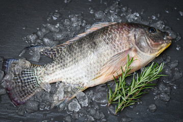 Tilapia with spice rosemary on dark background, Fresh raw tilapia fish from the tilapia farm - 533542006