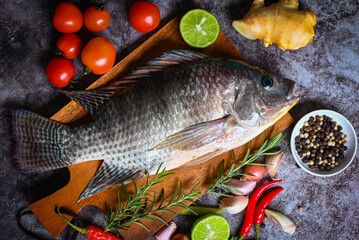 Tilapia with spice rosemary tomato lemon lime ginger garlic pepper chili on dark background, Fresh raw tilapia fish from the tilapia farm - 533542013