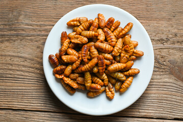 pupa on white plate background, fry silk worms - fried pupa for food beetle worm