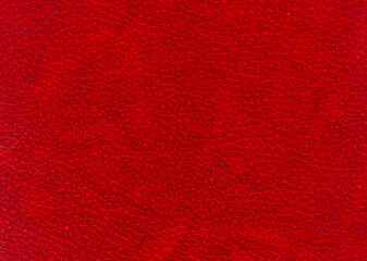 Fototapeta premium Red leatherette texture for car interior trim