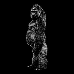 Western Gorilla hand drawing vector illustration isolated on black background