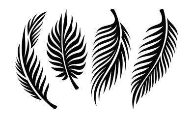 Set of tropical palm leaf black isolated background