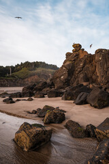 Fototapeta na wymiar Rocky formations on the Oregon coast.
