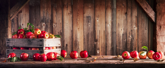 Fototapeta Organic Red Apples In Wooden Crate On Harvest Table With Rustic Barn Background obraz