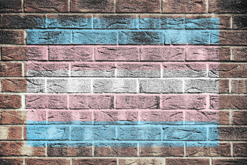 Transgender flag on a brick wall background