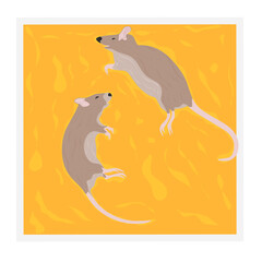 Glue Trapped Rat Pest Vector. Two House Rats died. Isolated on a white background.