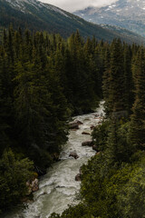 Paysage de Skagway &agrave; bord d'un train vieux de 100 ans