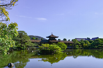 京都 平安神宮 泰平閣（橋殿）と栖楓池