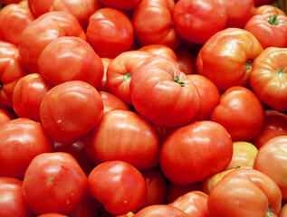 fresh farm picked tomatoes as food background